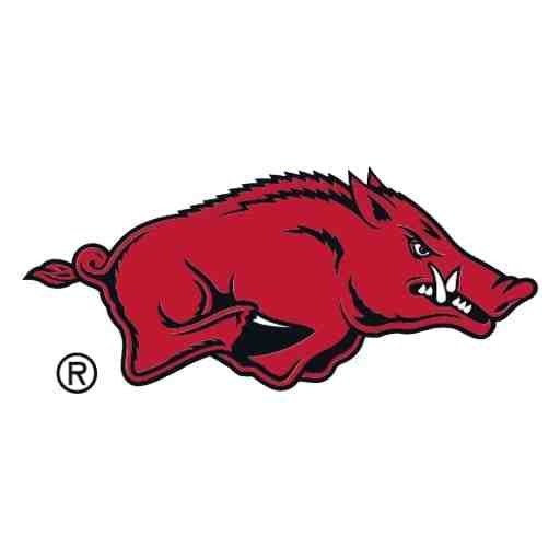 Arkansas Lady Razorbacks Women's Basketball